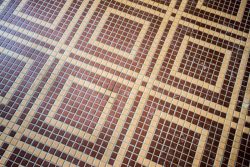 Arcadia Tile Floor